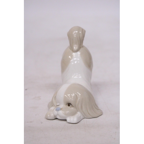 745 - A MIQUEL REQUENA PORCELAIN DOG FIGURE