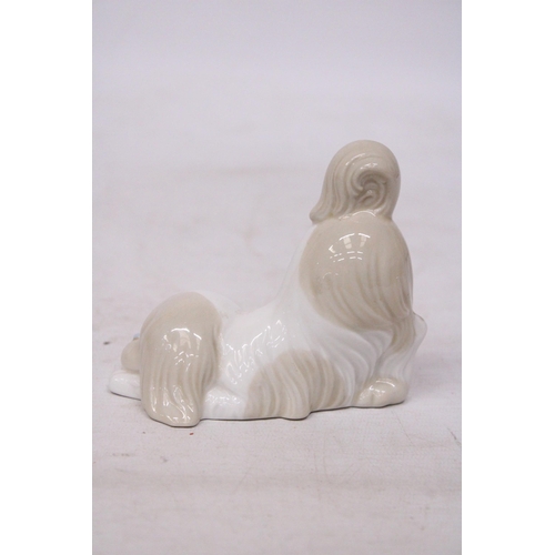 745 - A MIQUEL REQUENA PORCELAIN DOG FIGURE