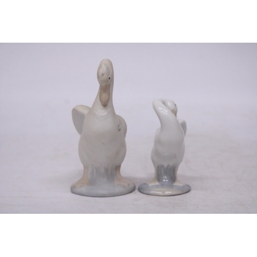 759 - A LLADRO FIGURE OF A GOOSE IN A GLOSS FINISH TOGETHER WITH A LARGE NAO FIGURE OF A GOOSE IN A MATT F... 