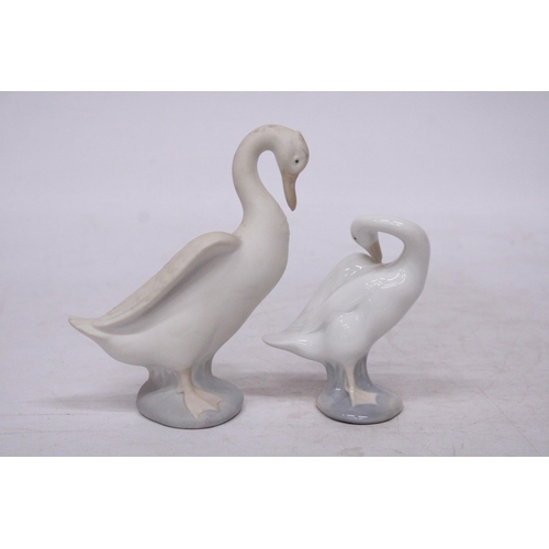 759 - A LLADRO FIGURE OF A GOOSE IN A GLOSS FINISH TOGETHER WITH A LARGE NAO FIGURE OF A GOOSE IN A MATT F... 