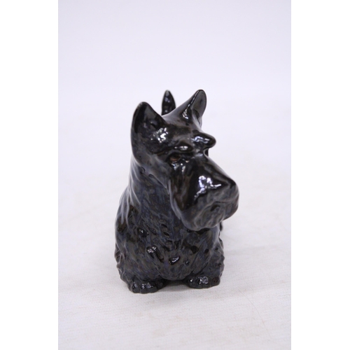 761 - A BESWICK FIGURE OF A SCOTTISH TERRIER