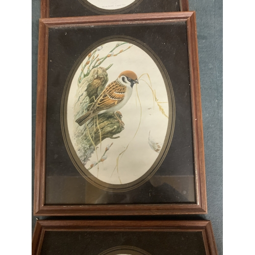 890 - FOUR BIRD THEMED FRAMED PRINTS TO INCLUDE A SWAN, MALLARD DUCKS, ETC