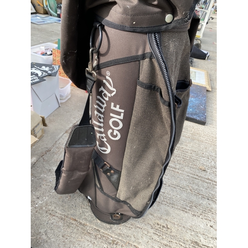 1993 - A CALLAWAY GOLF BAG WITH AN ASSORTMENT OF VINTAGE CLUBS