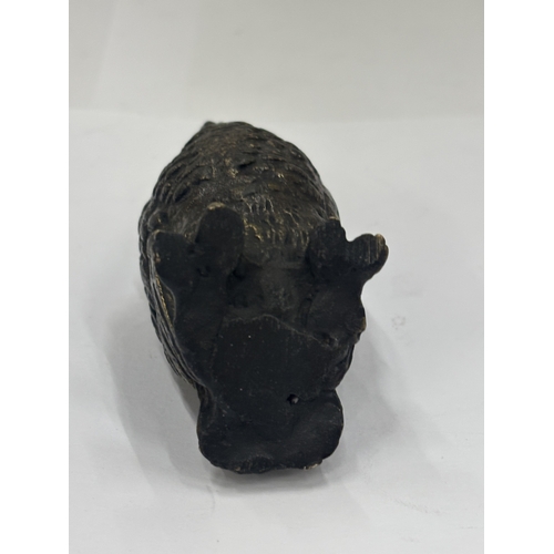 21 - A COLD PAINTED BRONZE OWL FIGURE, HEIGHT 8CM