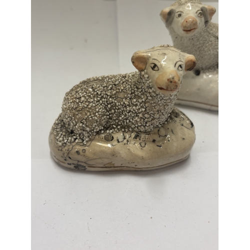 31 - A PAIR OF 19TH CENTURY STAFFORDSHIRE SHEEP, HEIGHT 6CM, LENGTH 8CM