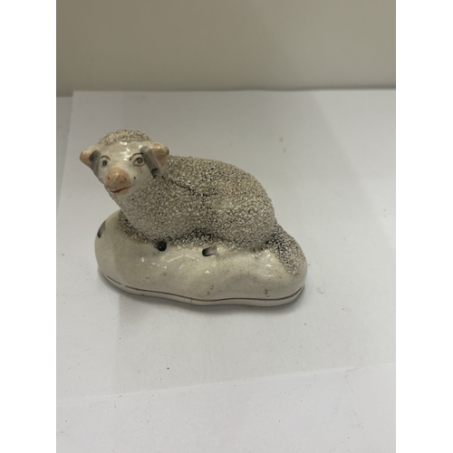 31 - A PAIR OF 19TH CENTURY STAFFORDSHIRE SHEEP, HEIGHT 6CM, LENGTH 8CM