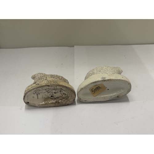31 - A PAIR OF 19TH CENTURY STAFFORDSHIRE SHEEP, HEIGHT 6CM, LENGTH 8CM