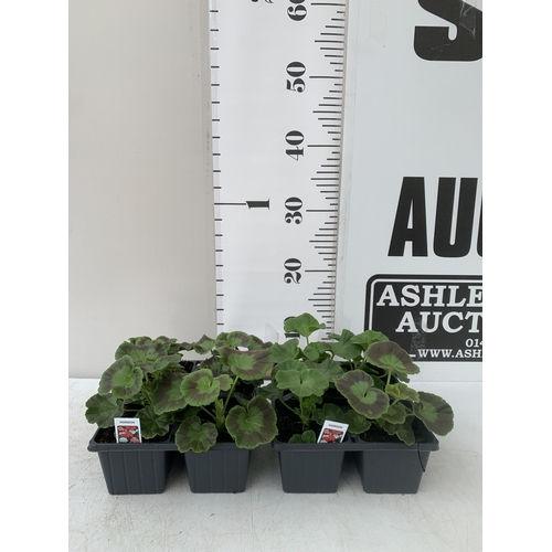 Lot 6         