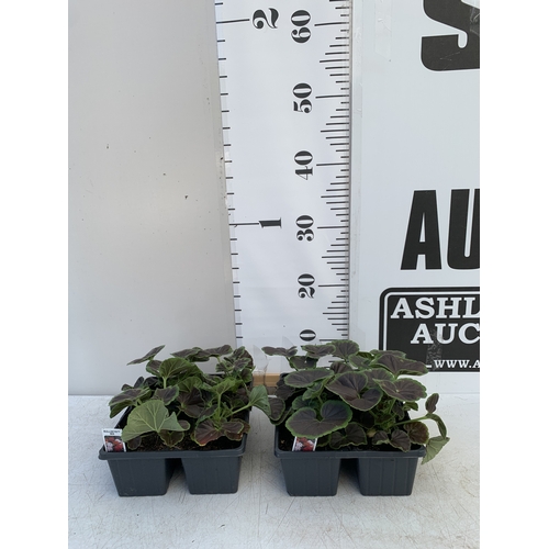 Lot 9         
