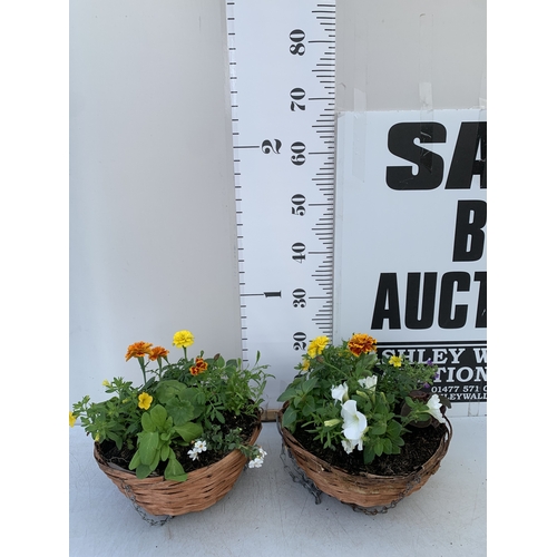 Lot 54        