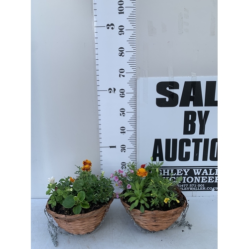 Lot 55        