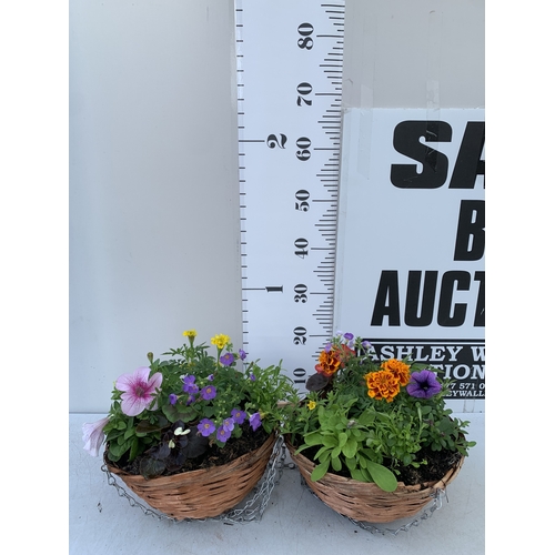 Lot 56        
