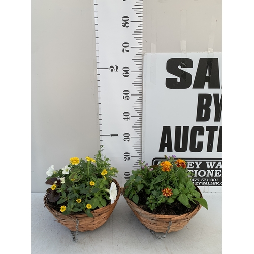 Lot 59        
