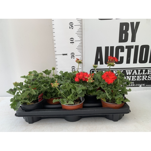 Lot 36        