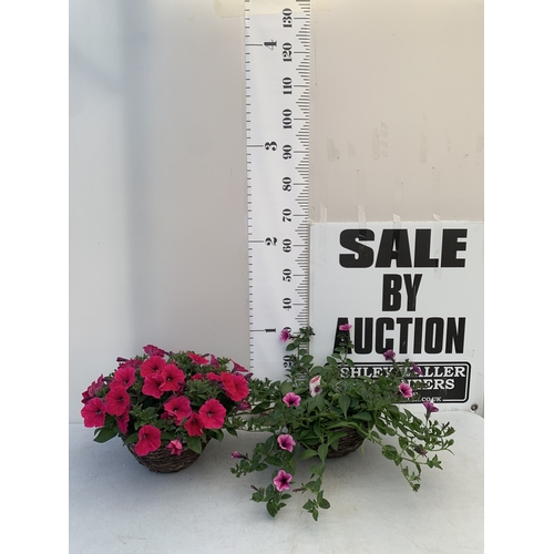 Lot 10        