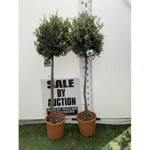 Lot 2         