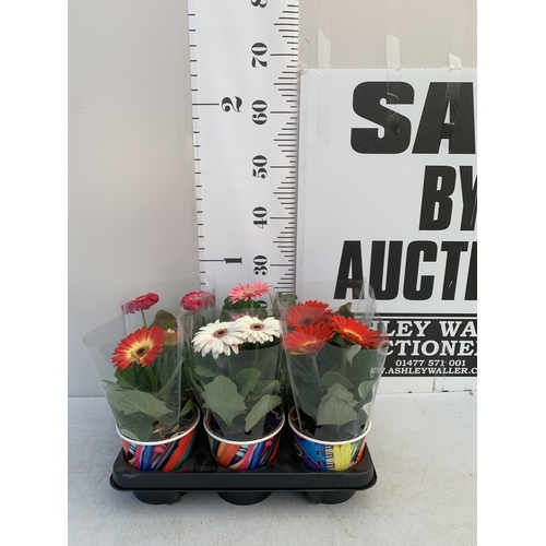 Lot 25        