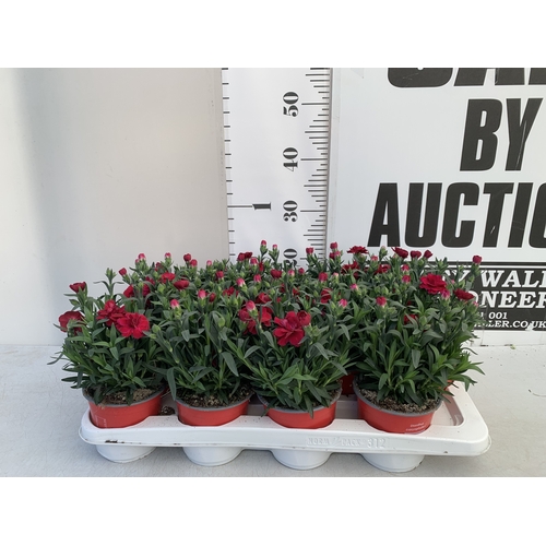 Lot 26        
