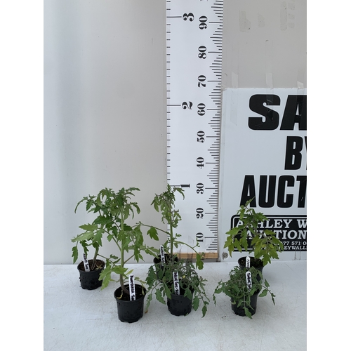 Lot 32        