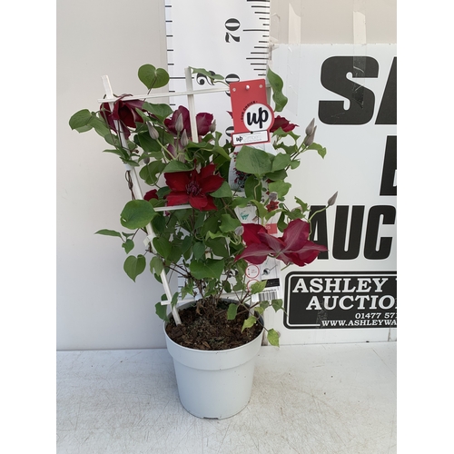 Lot 8         