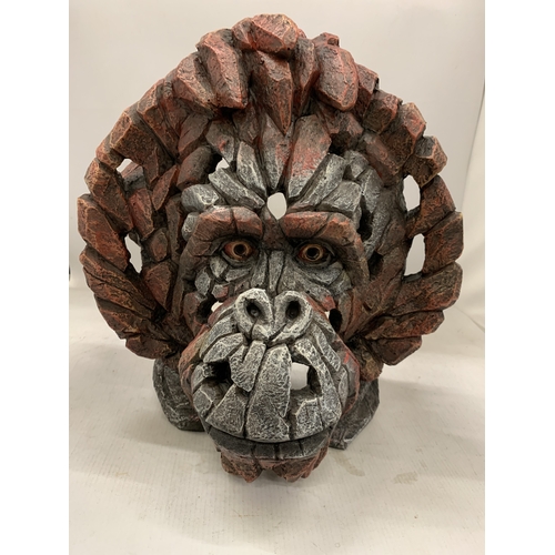 Lot 56        
