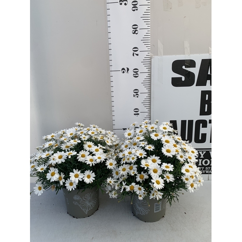 Lot 4         