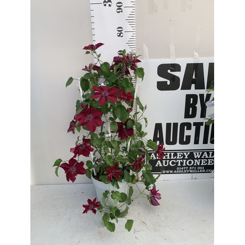 Lot 52        