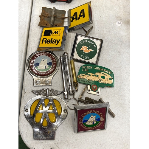 Lot 21        