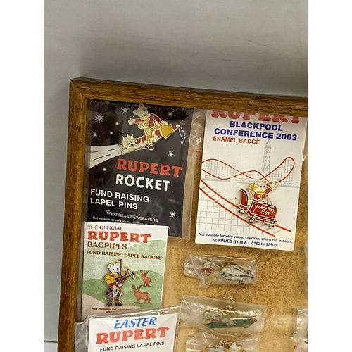 24 - A COLLECTION OF VINTAGE RUPERT THE BEAR BADGES IN A GLASS CASE