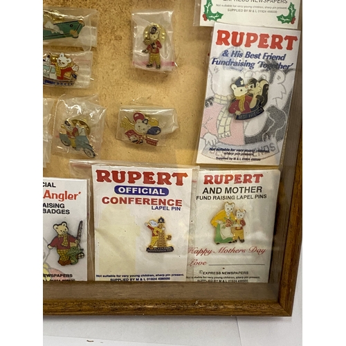 24 - A COLLECTION OF VINTAGE RUPERT THE BEAR BADGES IN A GLASS CASE