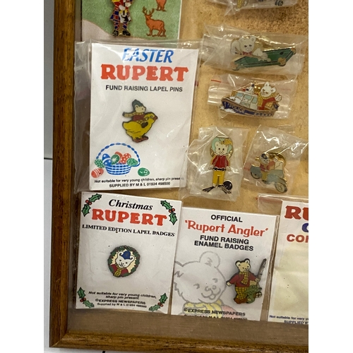 24 - A COLLECTION OF VINTAGE RUPERT THE BEAR BADGES IN A GLASS CASE