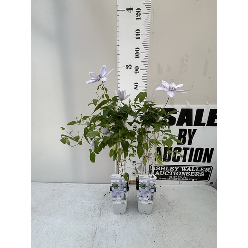 Lot 4         