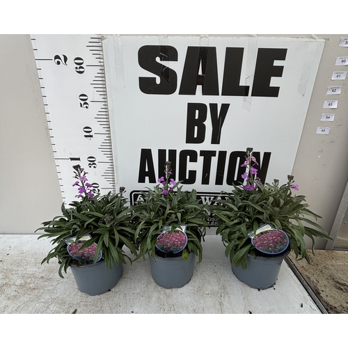 Lot 58        