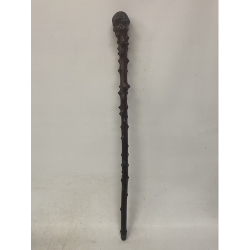 Lot 19        