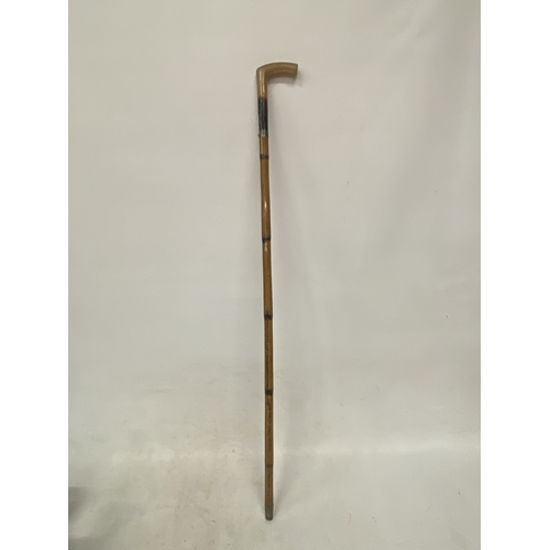 Lot 21        