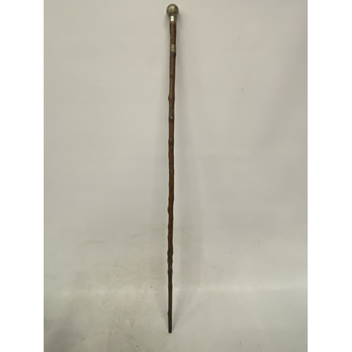 Lot 22        