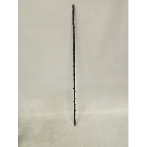 Lot 23        