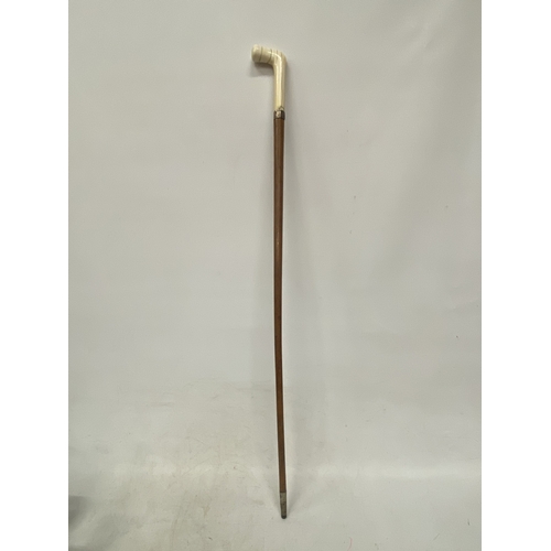 Lot 24        