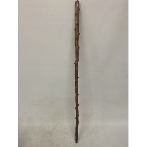 Lot 28        