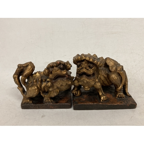 Lot 49        