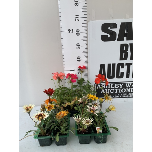 Lot 53        