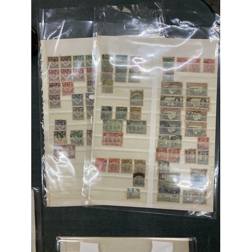 Lot 243       