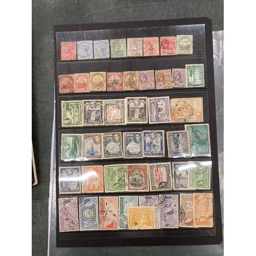 Lot 250       