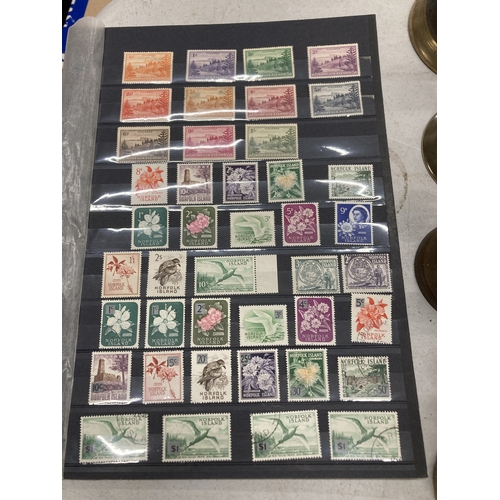 Lot 487       