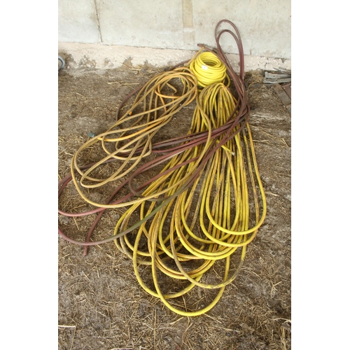Lot 14        