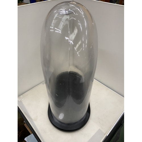 15 - A 20TH CENTURY GLASS DOME AND STAND - 43 CM(H)