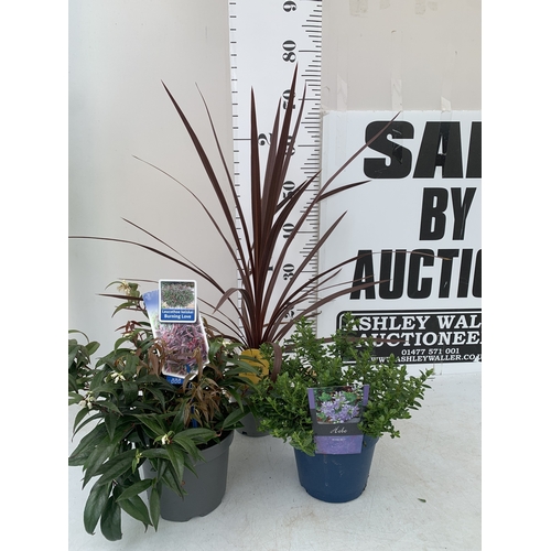 Lot 30        