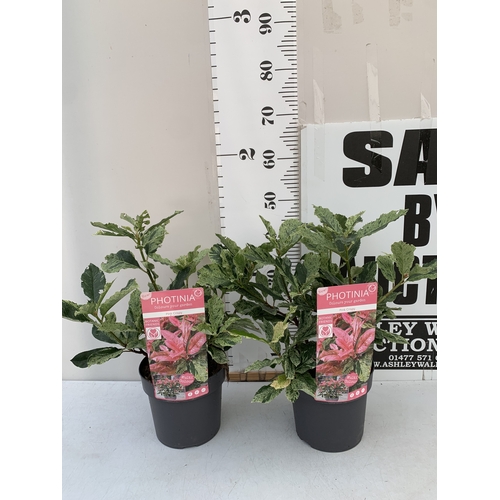 Lot 5         
