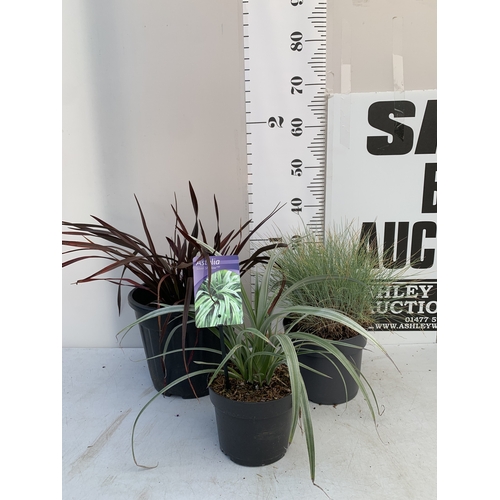 Lot 64        