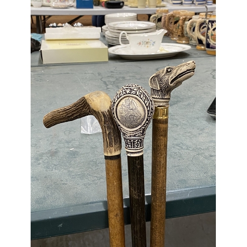 27 - THREE VINTAGE WALKING STICKS TO INCLUDE ONE WITH A YELLOW METAL COLLAR AND DOG HEAD HANDLE, ONE WITH... 